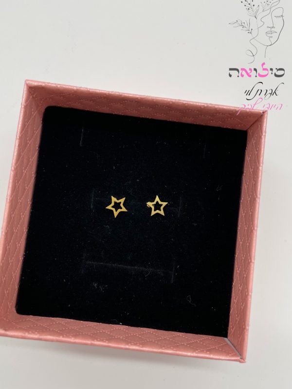 עגילים גולדפילד צמודות זהב כוכב חלול